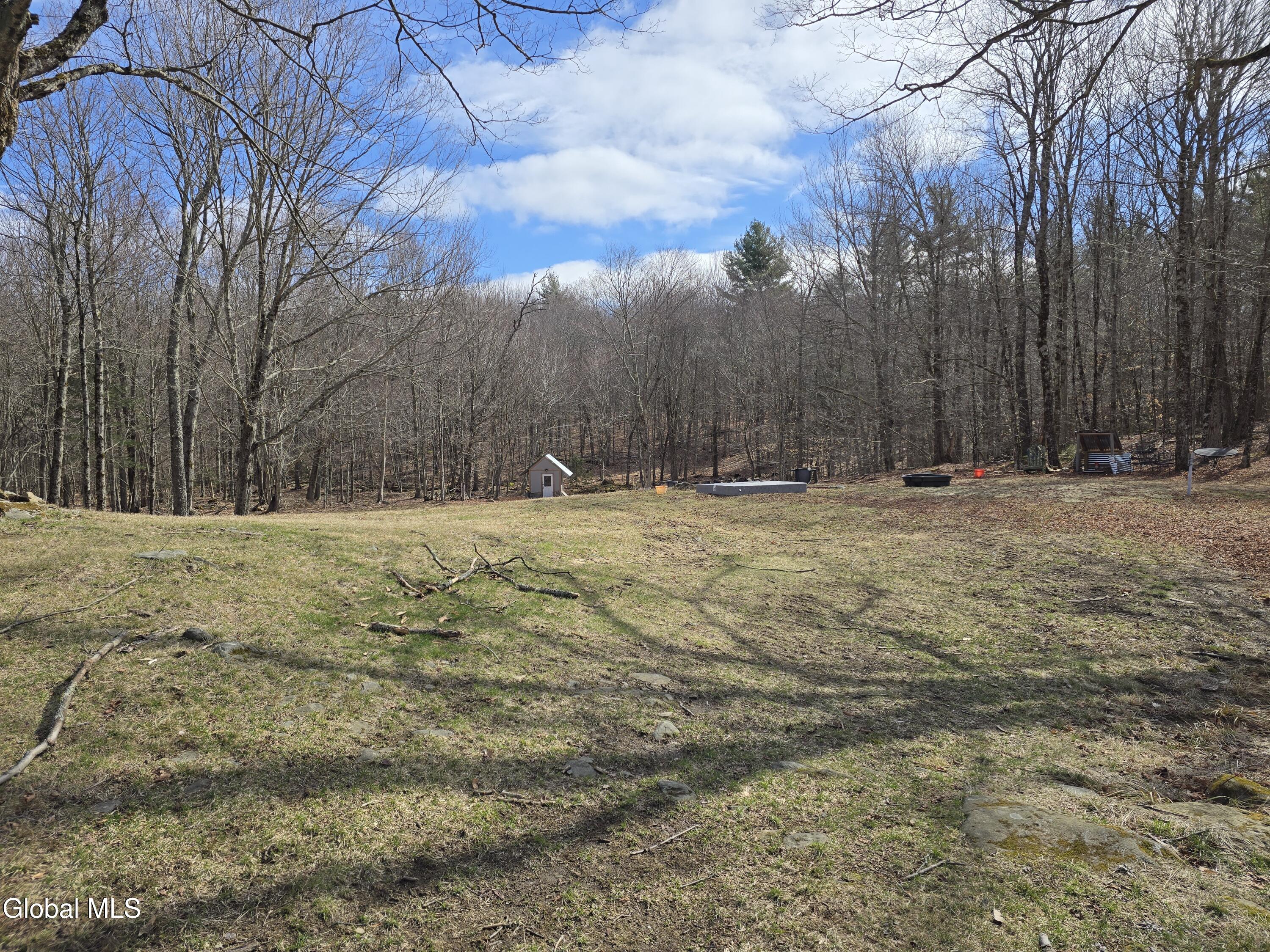 344 Dyken Pond Road Berlin, NY 12138 - Photo 30 of 38 29 Fields