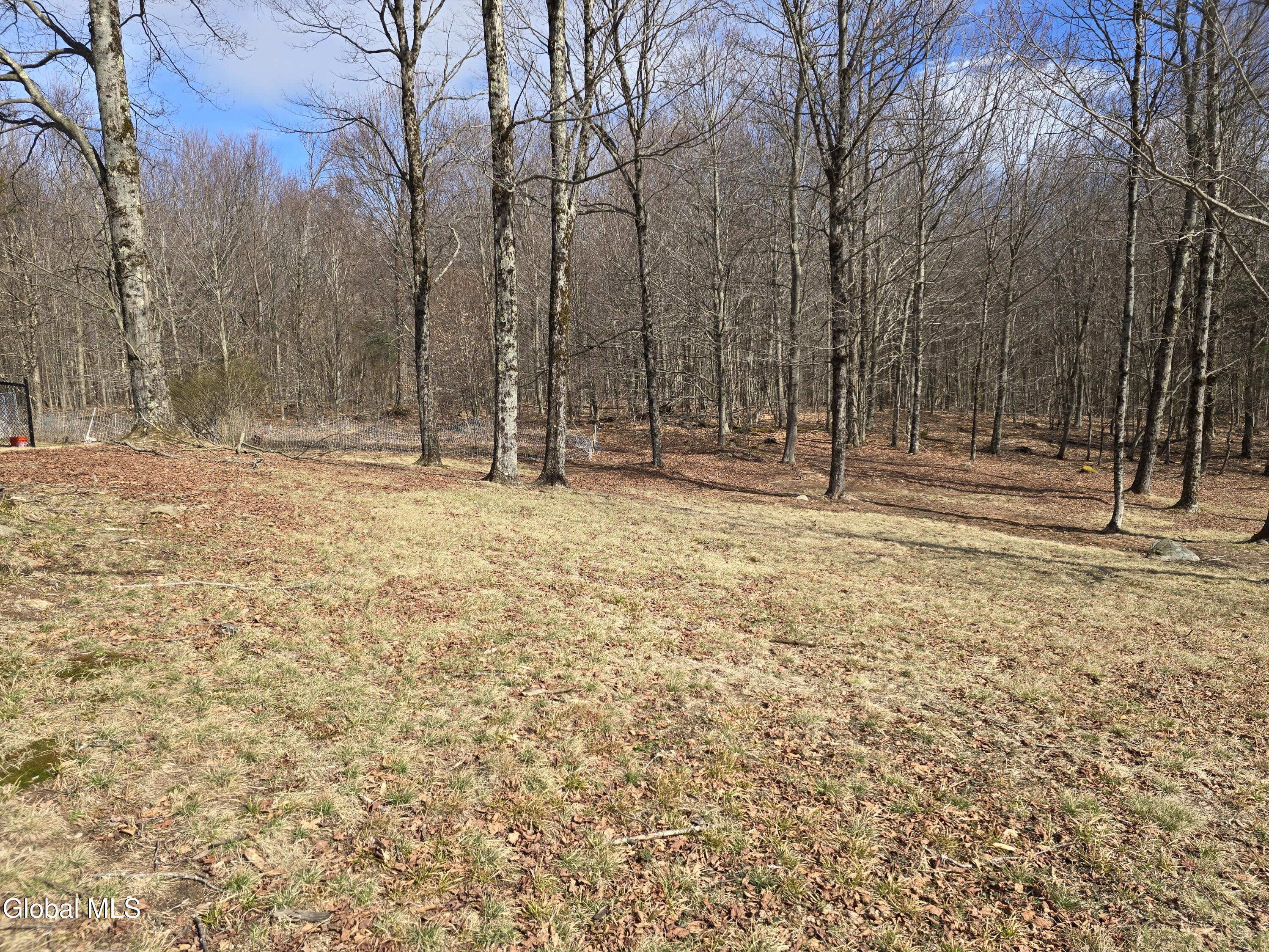 344 Dyken Pond Road Berlin, NY 12138 - Photo 32 of 38 31 Woods