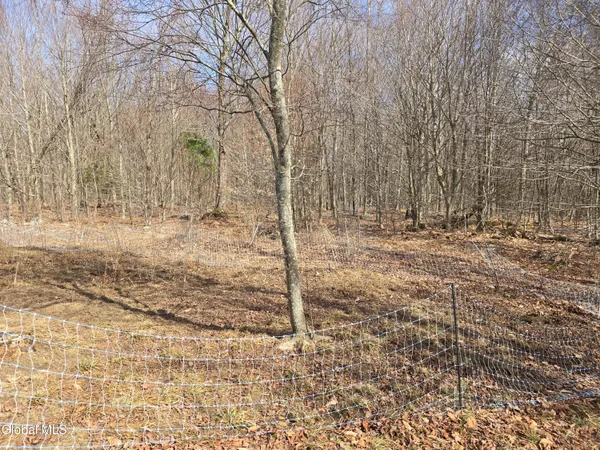 $350,000 | 344 Dyken Pond Road, Berlin, NY 12138