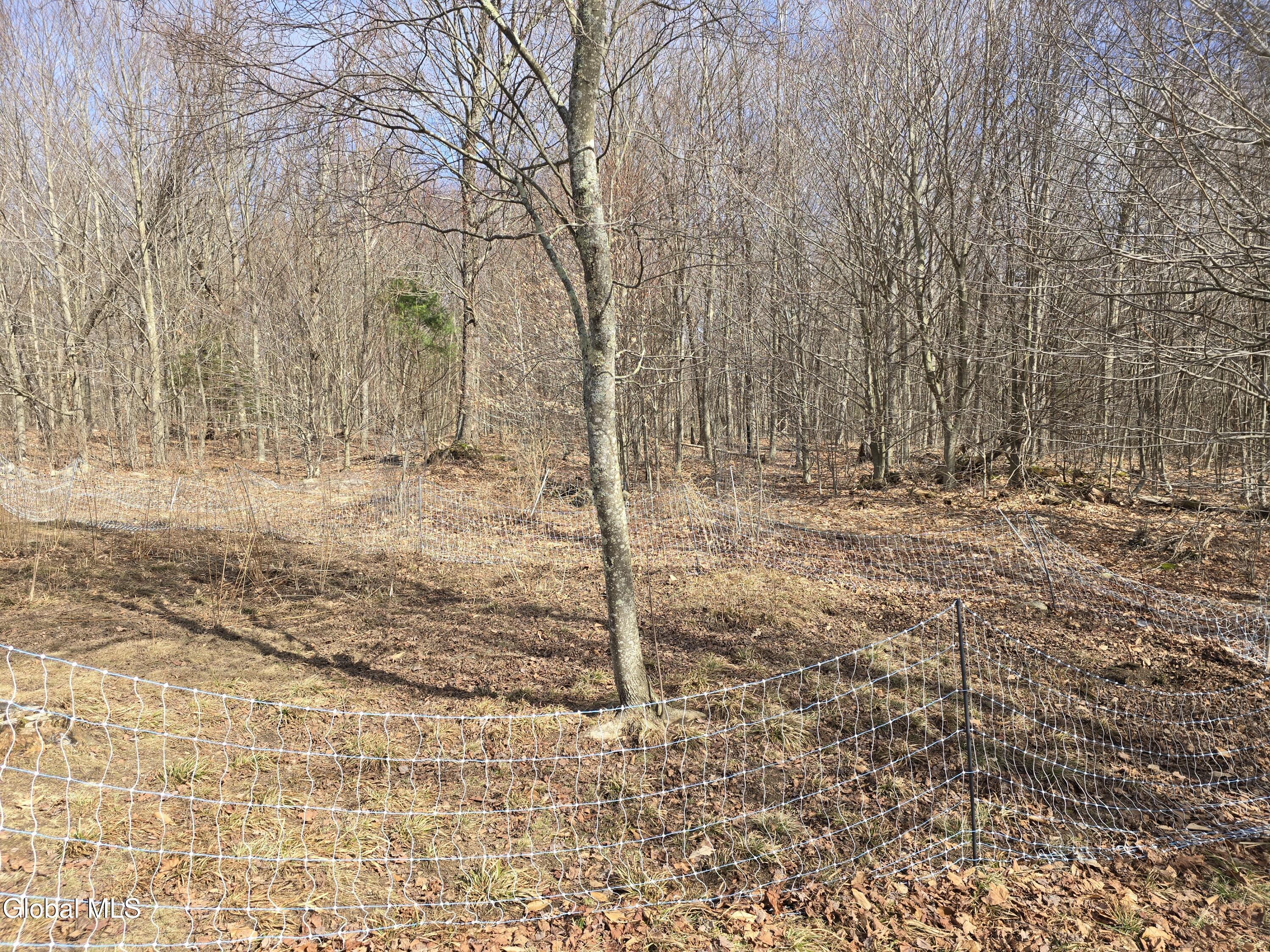 344 Dyken Pond Road Berlin, NY 12138 - Photo 34 of 38 33 animal pins