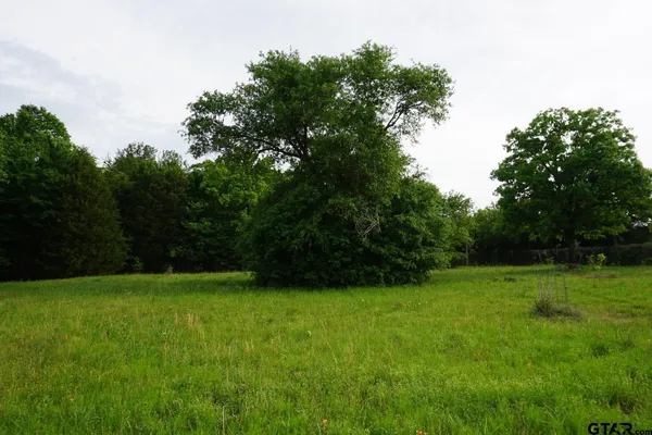 a view of an outdoor space and a yard