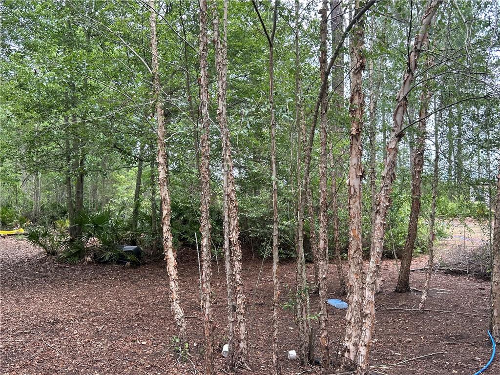 114 Jones Road Hortense, GA 31543 - Photo 21 of 25 a view of forest