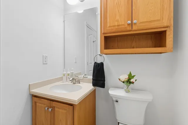 a bathroom with a sink and a toilet