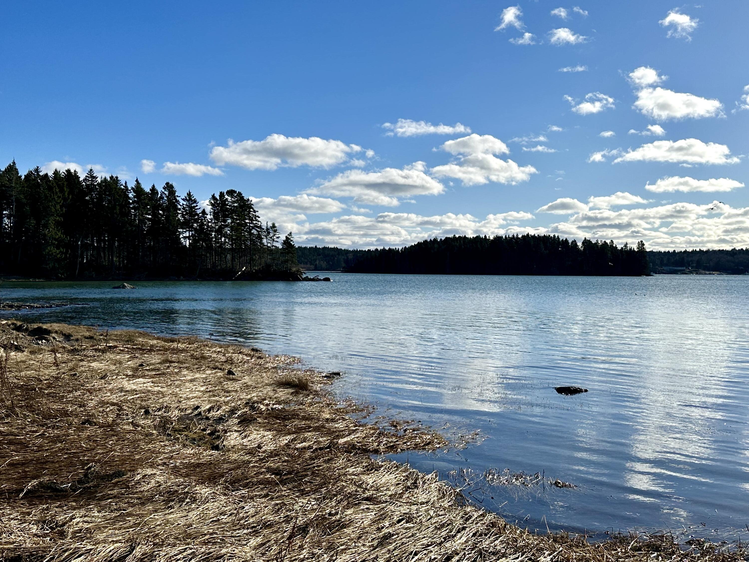 175 Nash Lane Addison, ME 04606 - Photo 11 of 75 IMG_1358