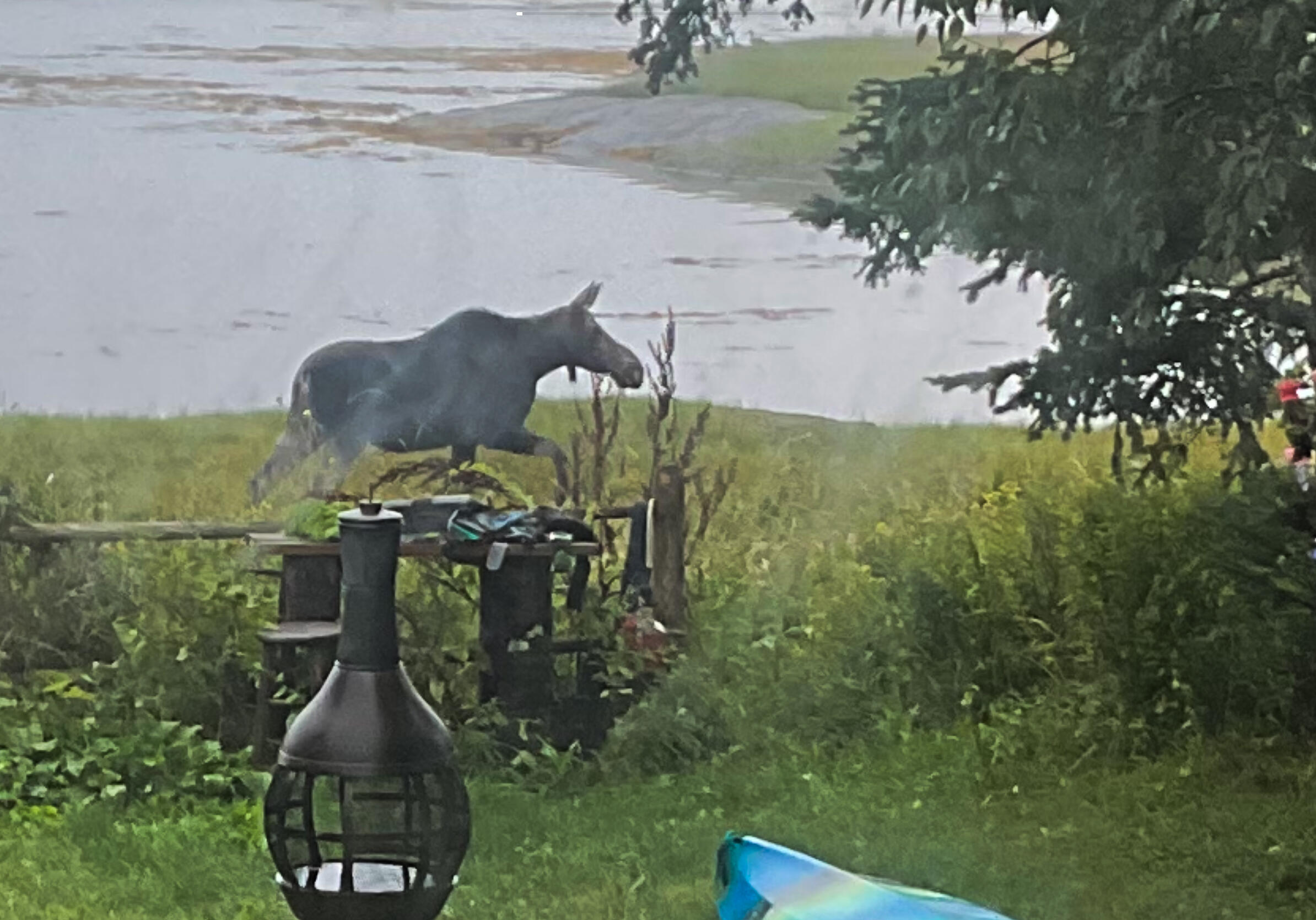 175 Nash Lane Addison, ME 04606 - Photo 12 of 75 IMG_0423