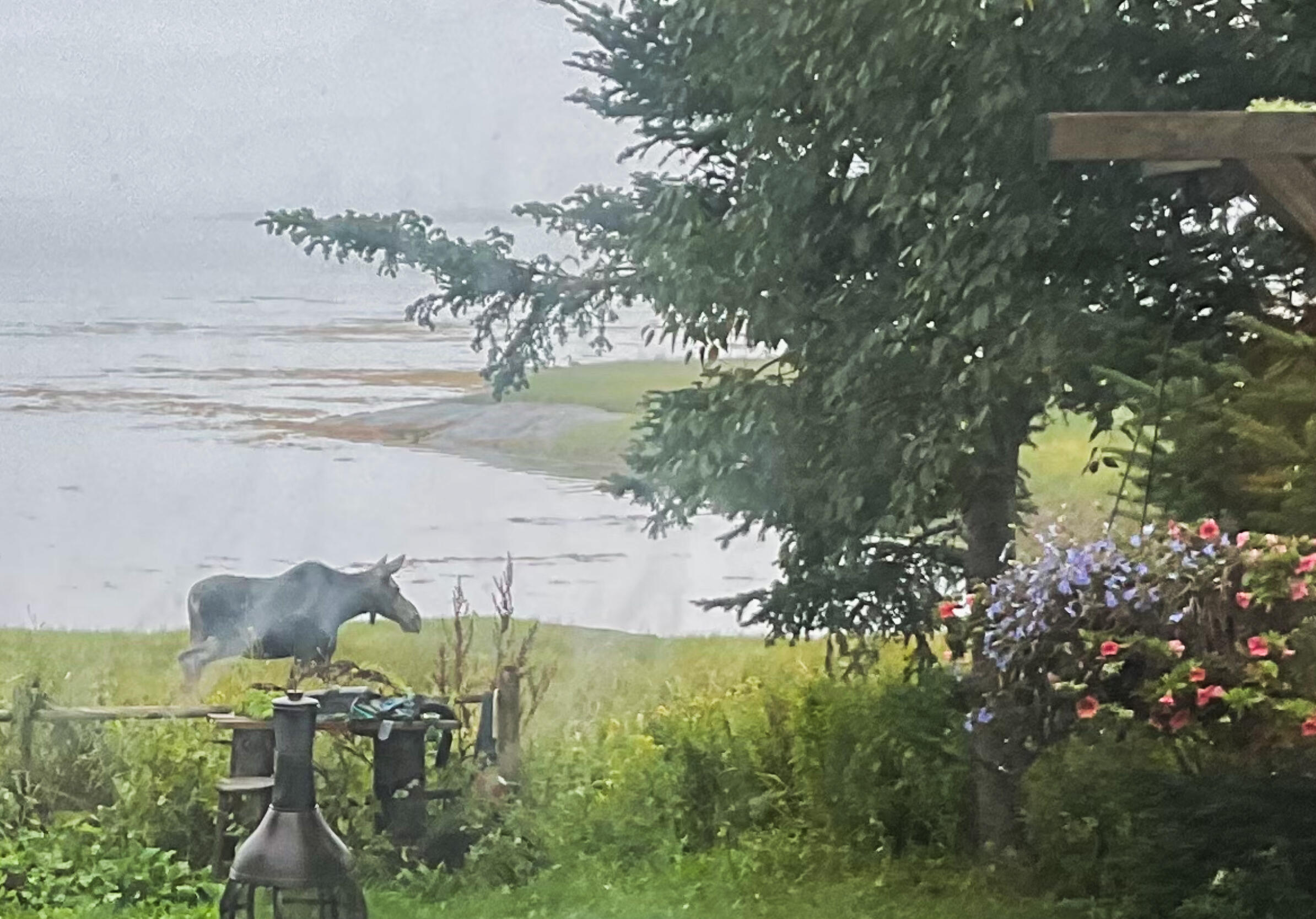 175 Nash Lane Addison, ME 04606 - Photo 13 of 75 IMG_0424