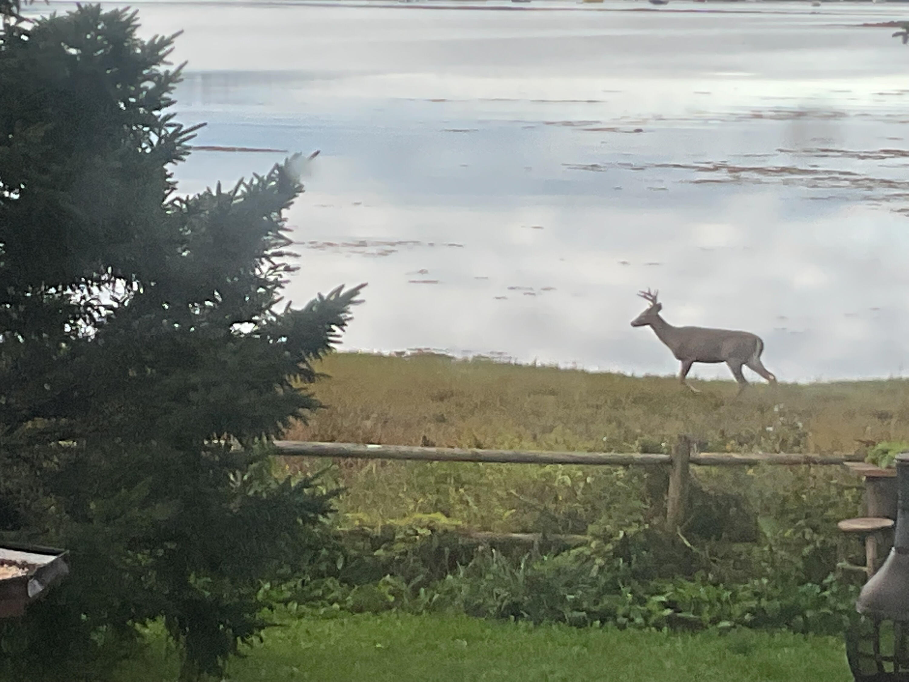 175 Nash Lane Addison, ME 04606 - Photo 14 of 75 IMG_0489