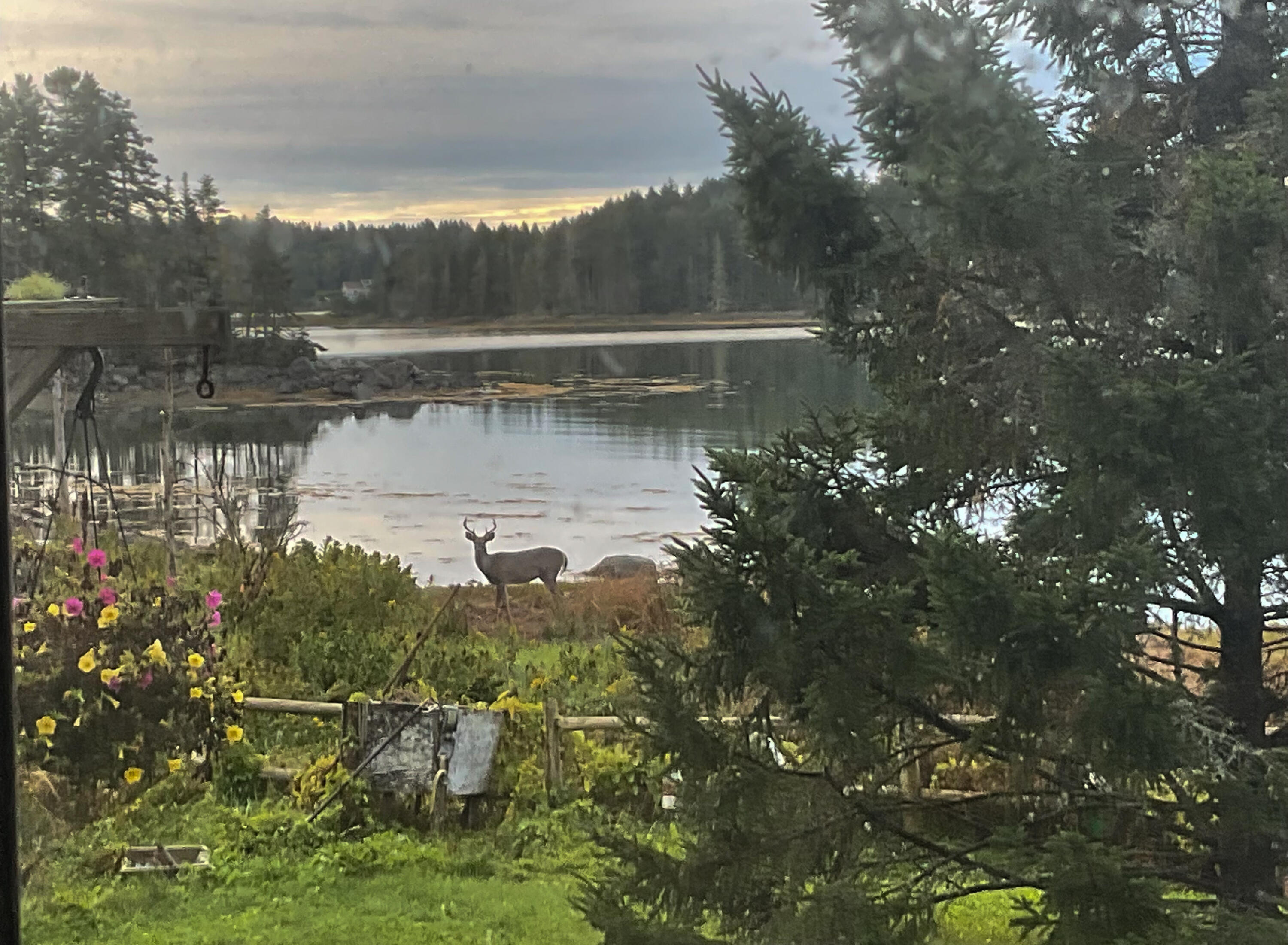 175 Nash Lane Addison, ME 04606 - Photo 15 of 75 IMG_0500