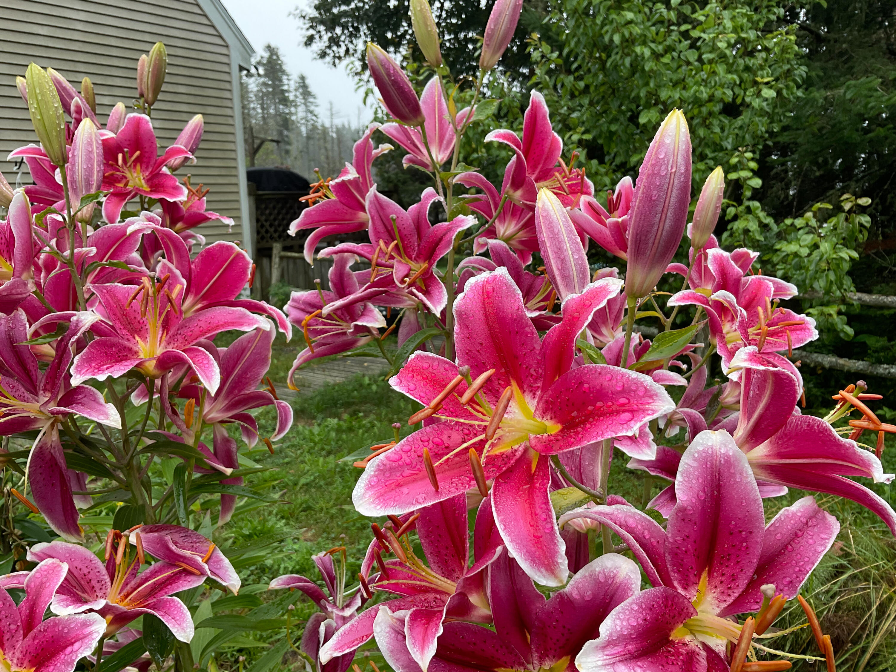 175 Nash Lane Addison, ME 04606 - Photo 16 of 75 IMG_0428