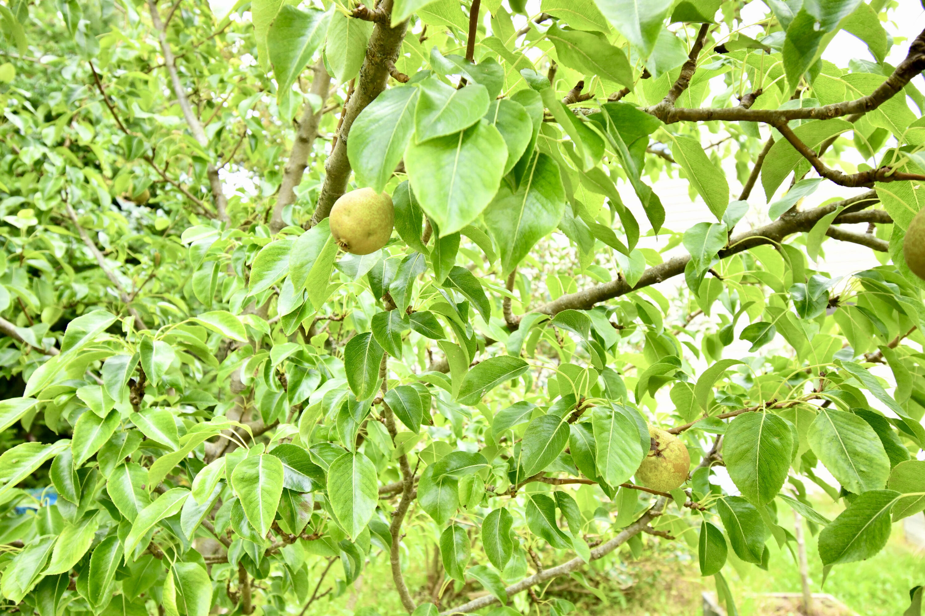 175 Nash Lane Addison, ME 04606 - Photo 19 of 75 9EEA6023-D48E-4327-B64D-12776B3451D0_1_2