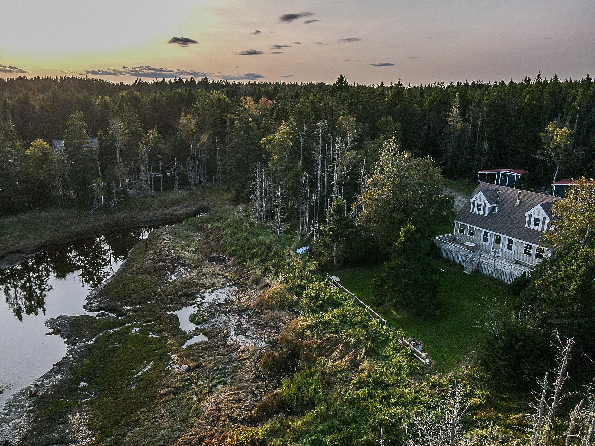 175 Nash Lane Addison, ME 04606 - Photo 3 of 75 175nashroad-02