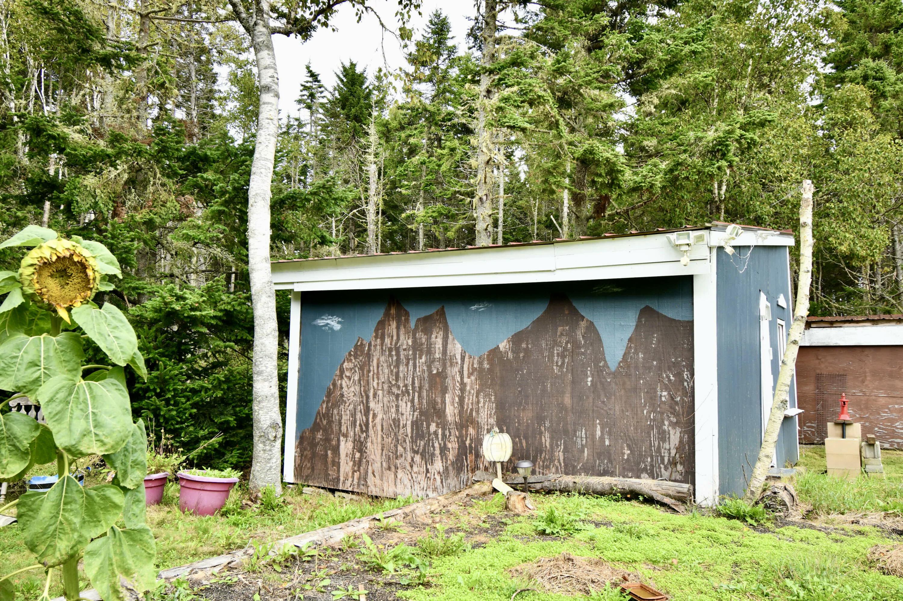 175 Nash Lane Addison, ME 04606 - Photo 60 of 75 36B8A717-8887-4169-890B-9970F3D2918E_1_2