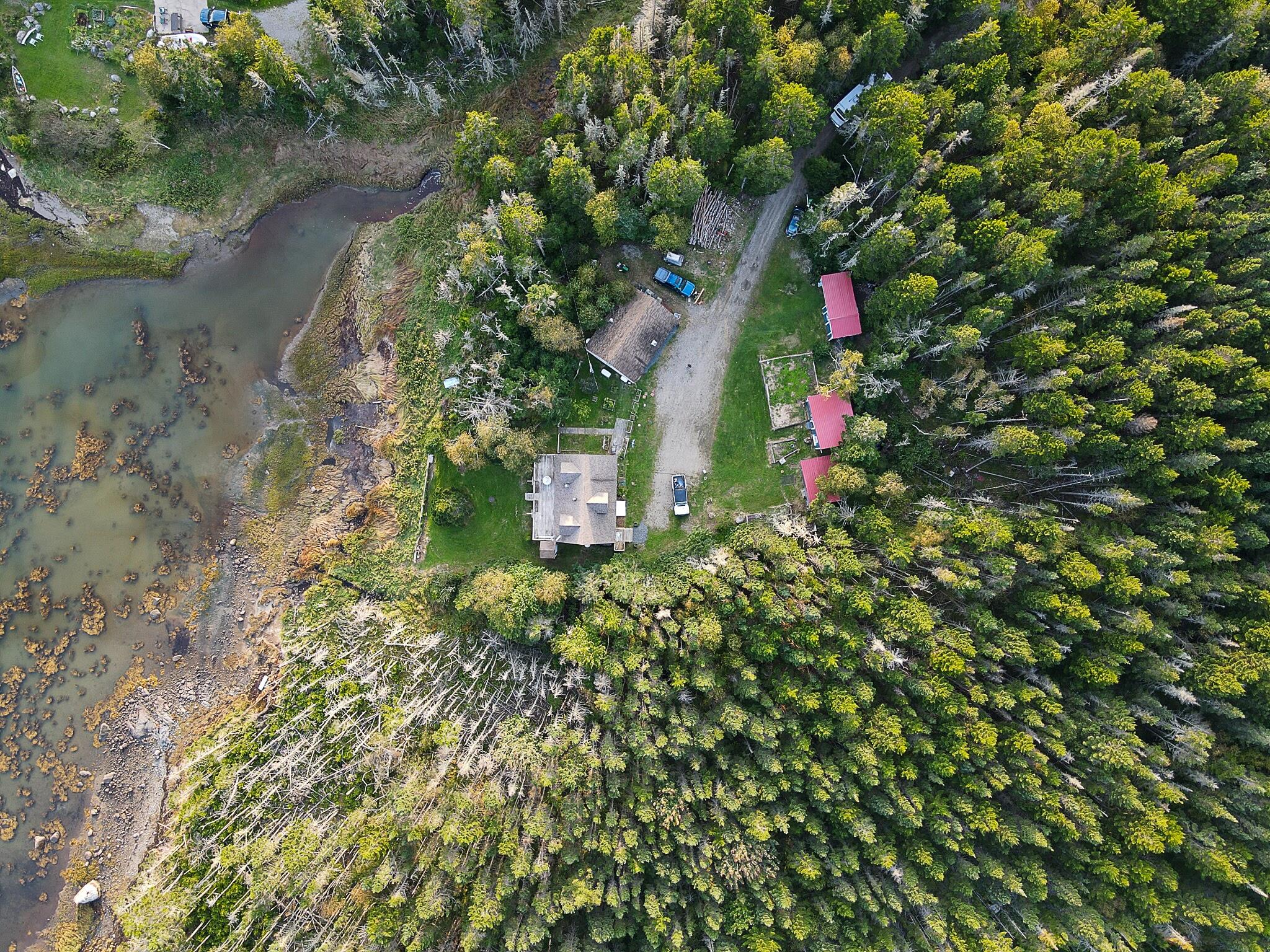 175 Nash Lane Addison, ME 04606 - Photo 64 of 75 175nashroad-24