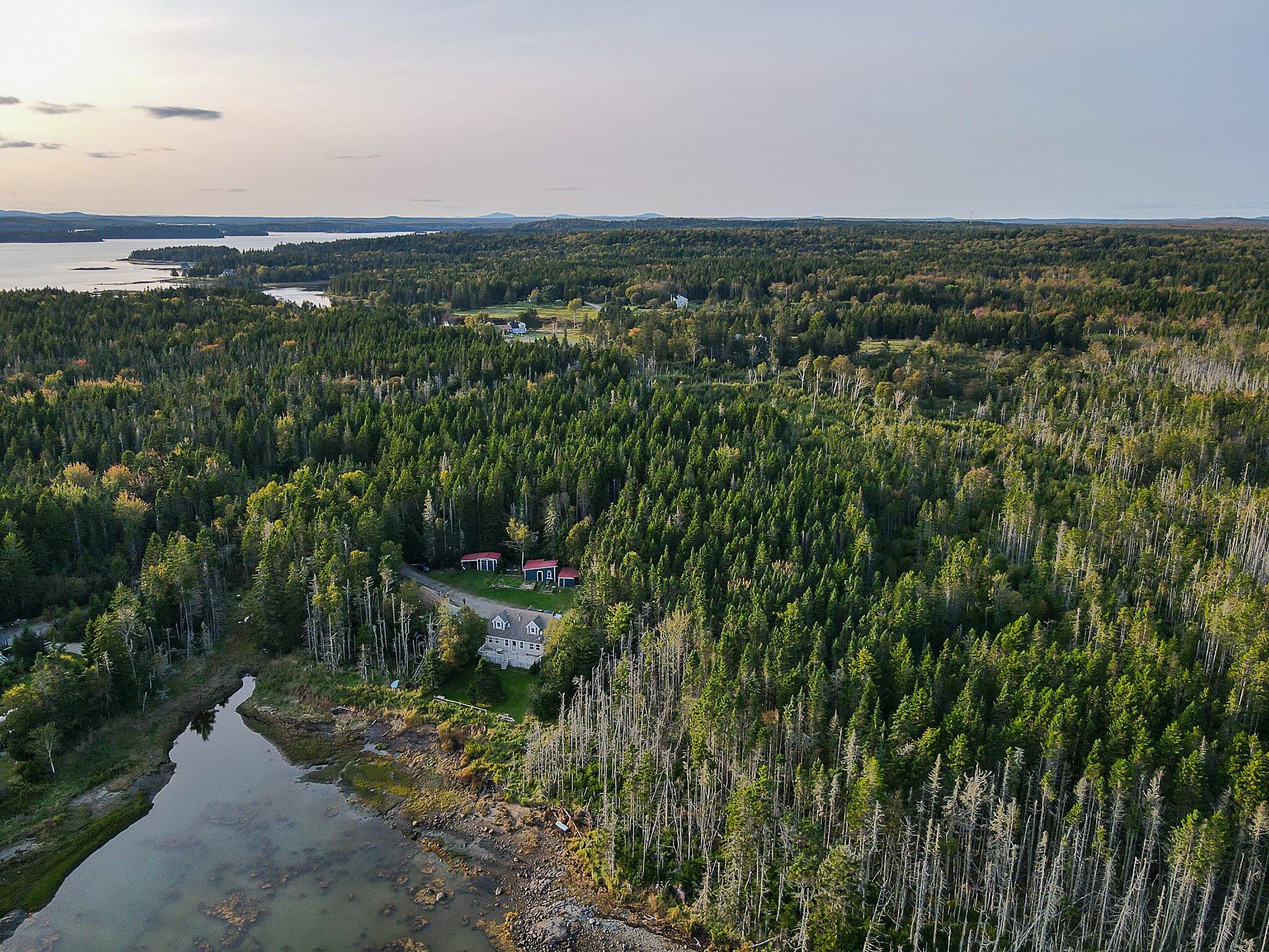 175 Nash Lane Addison, ME 04606 - Photo 65 of 75 175nashroad-28