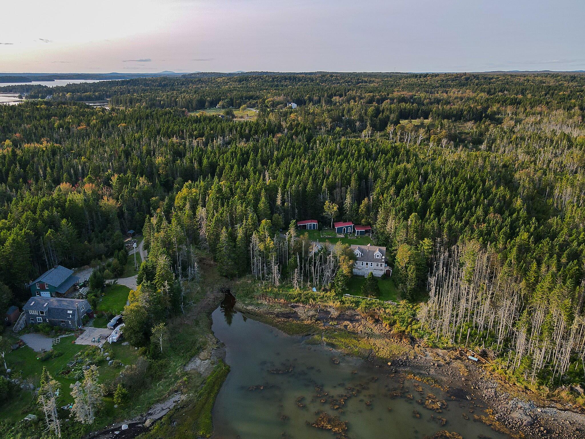 175 Nash Lane Addison, ME 04606 - Photo 68 of 75 175nashroad-49