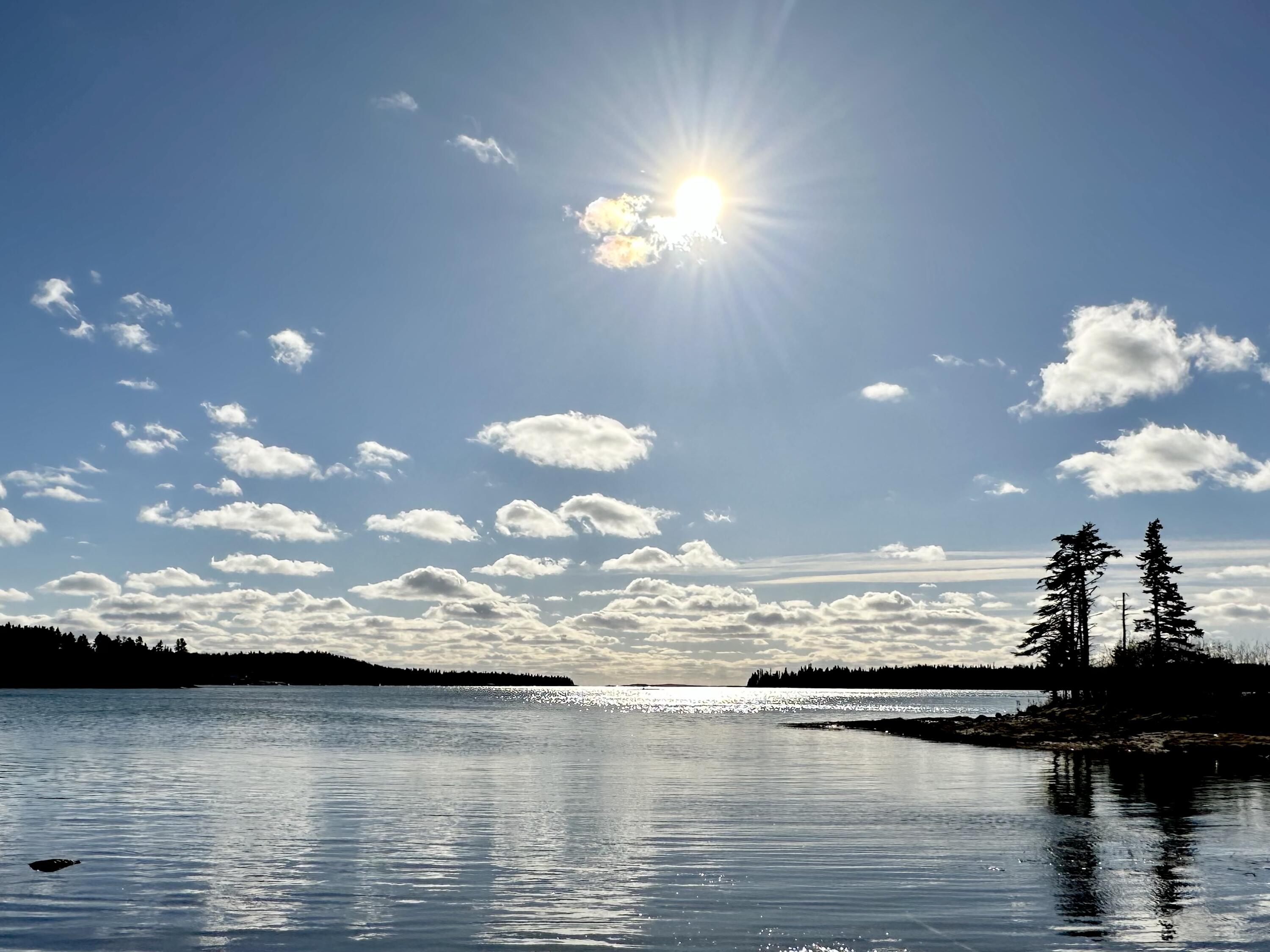 175 Nash Lane Addison, ME 04606 - Photo 73 of 75 IMG_1354