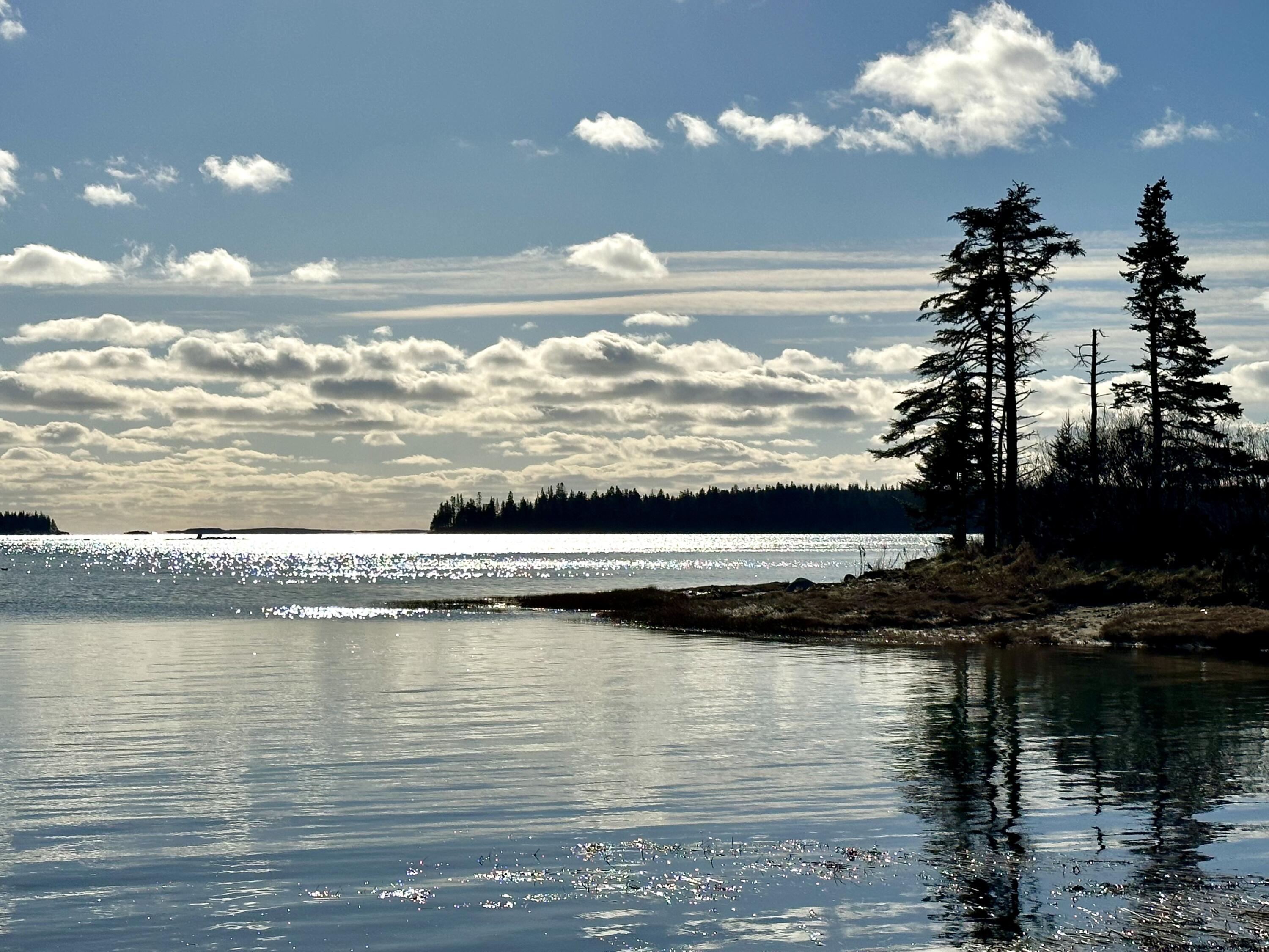 175 Nash Lane Addison, ME 04606 - Photo 74 of 75 IMG_1364