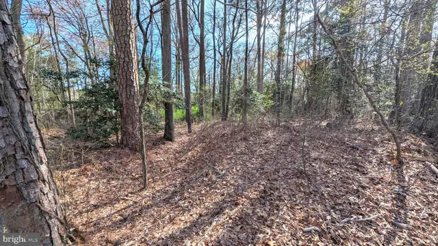 $45,000 | 1 Woodland Station, Seaford, DE 19973