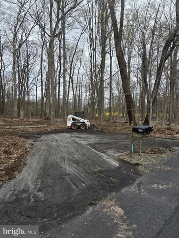 a park view with tree