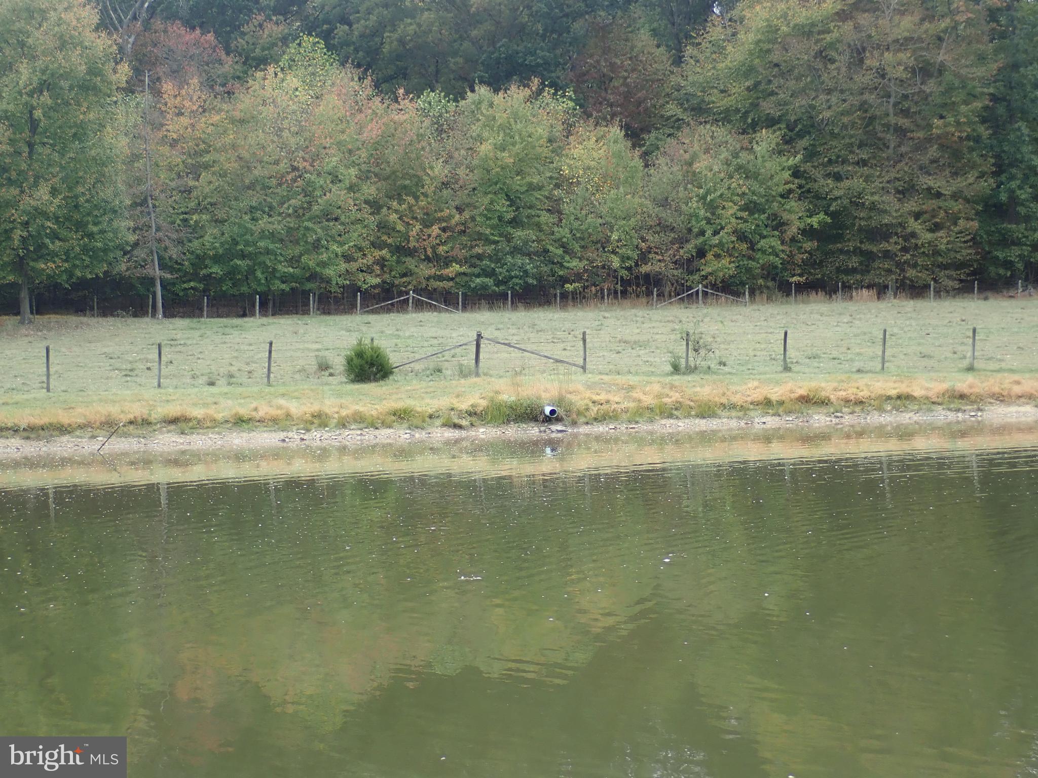 1029 Union Church Road Elkton, MD 21921 - Photo 11 of 50 Pastures