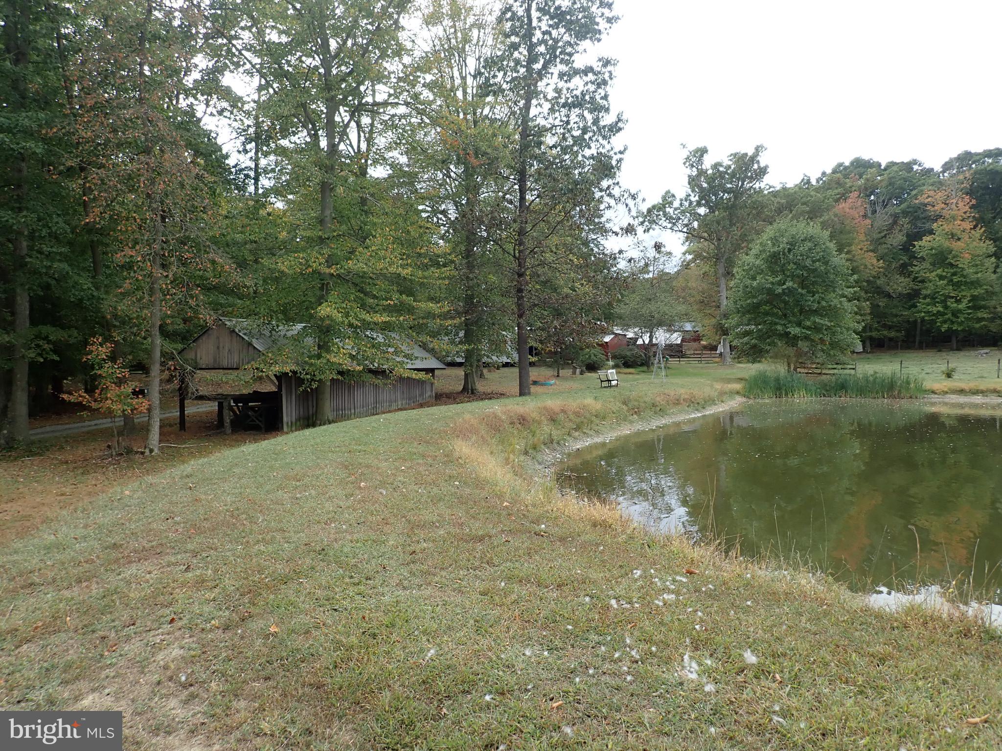1029 Union Church Road Elkton, MD 21921 - Photo 14 of 50 Pond
