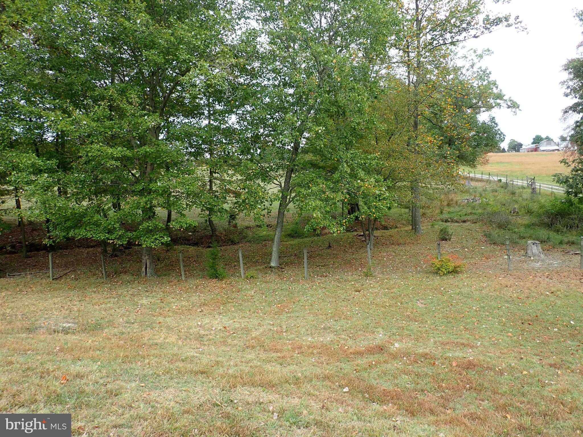 1029 Union Church Road Elkton, MD 21921 - Photo 15 of 50 Pasture