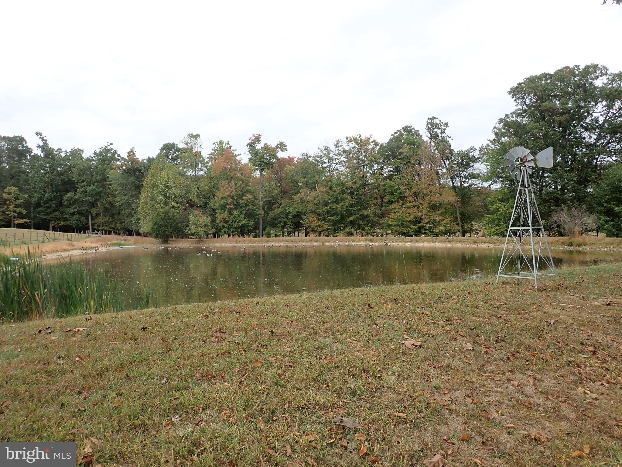 1029 Union Church Road Elkton, MD 21921 - Photo 19 of 50
