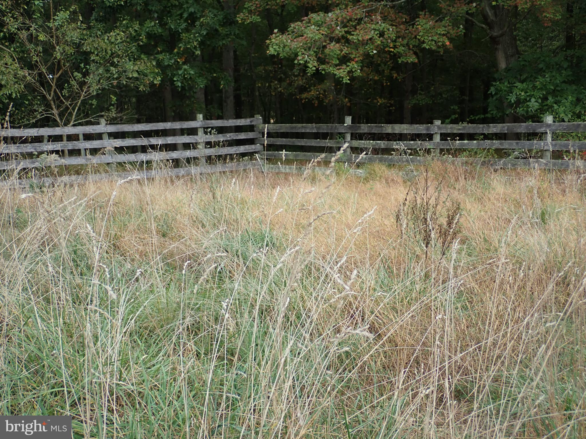 1029 Union Church Road Elkton, MD 21921 - Photo 26 of 50 Pasture