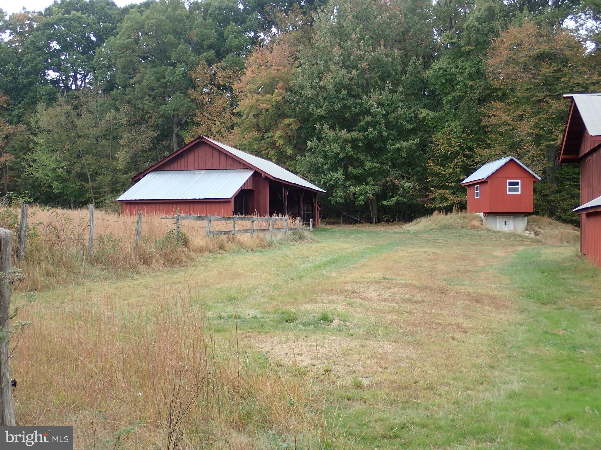 1029 Union Church Road Elkton, MD 21921 - Photo 27 of 50 Canning House Root Cellar