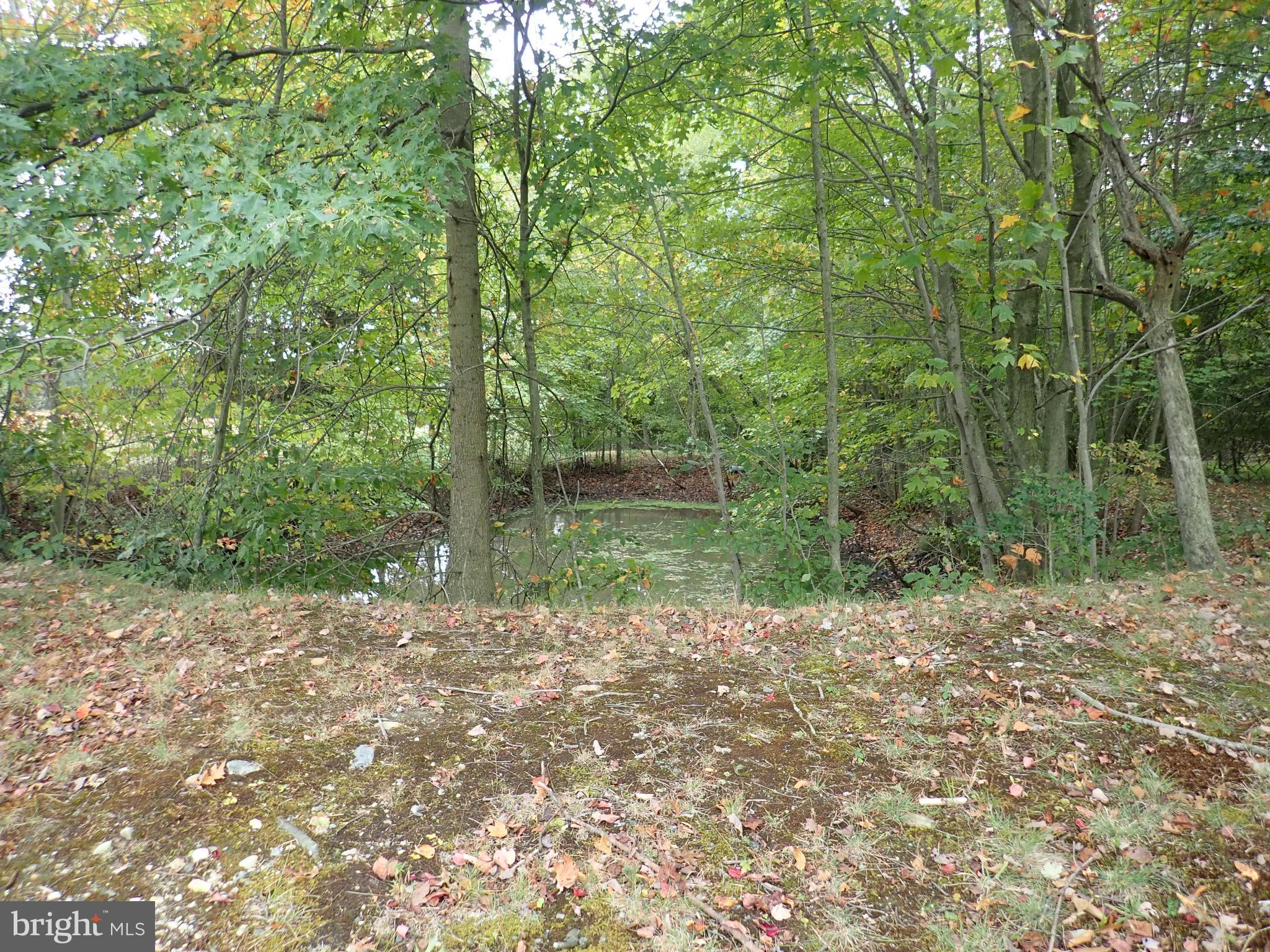 1029 Union Church Road Elkton, MD 21921 - Photo 7 of 50 small pond