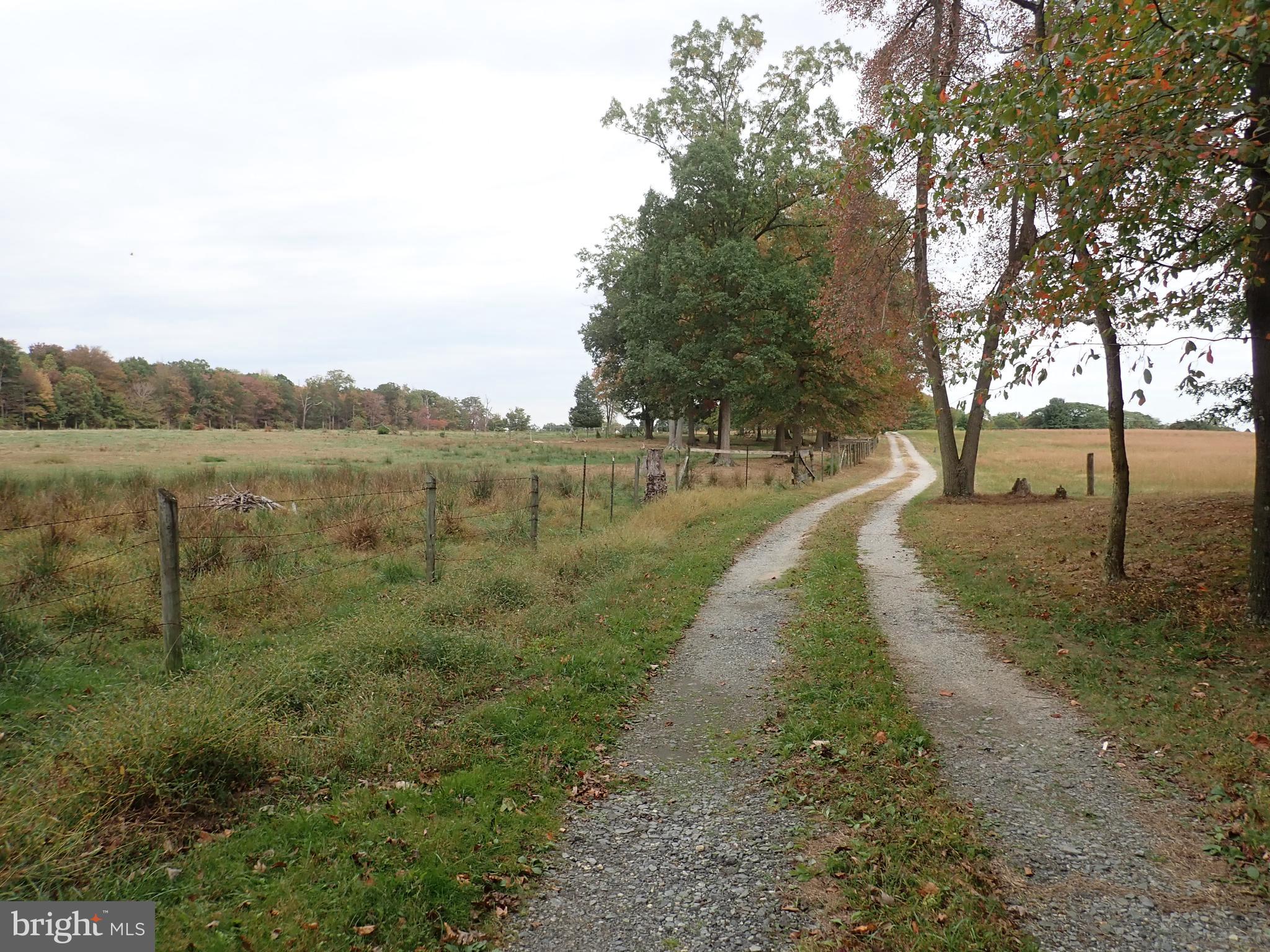 1029 Union Church Road Elkton, MD 21921 - Photo 8 of 50 Gravel Lane
