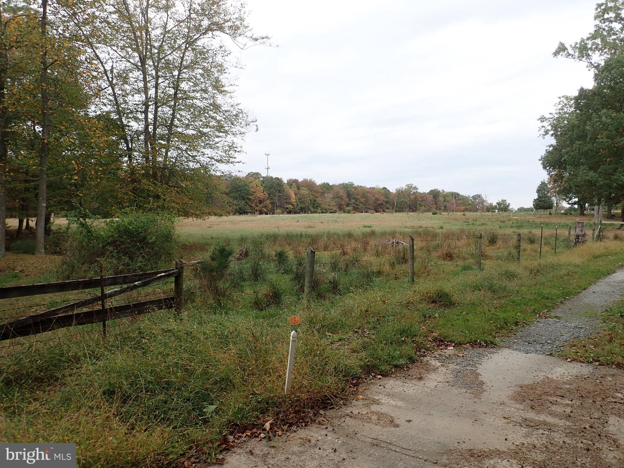 1029 Union Church Road Elkton, MD 21921 - Photo 9 of 50 Fenced Pastures