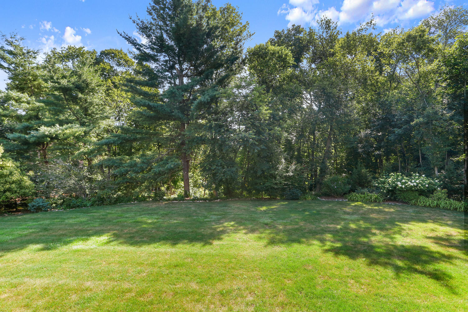 116 Marshall Ridge Road New Canaan, CT 06840 - Photo 8 of 50 a view of a grassy field with trees in the background