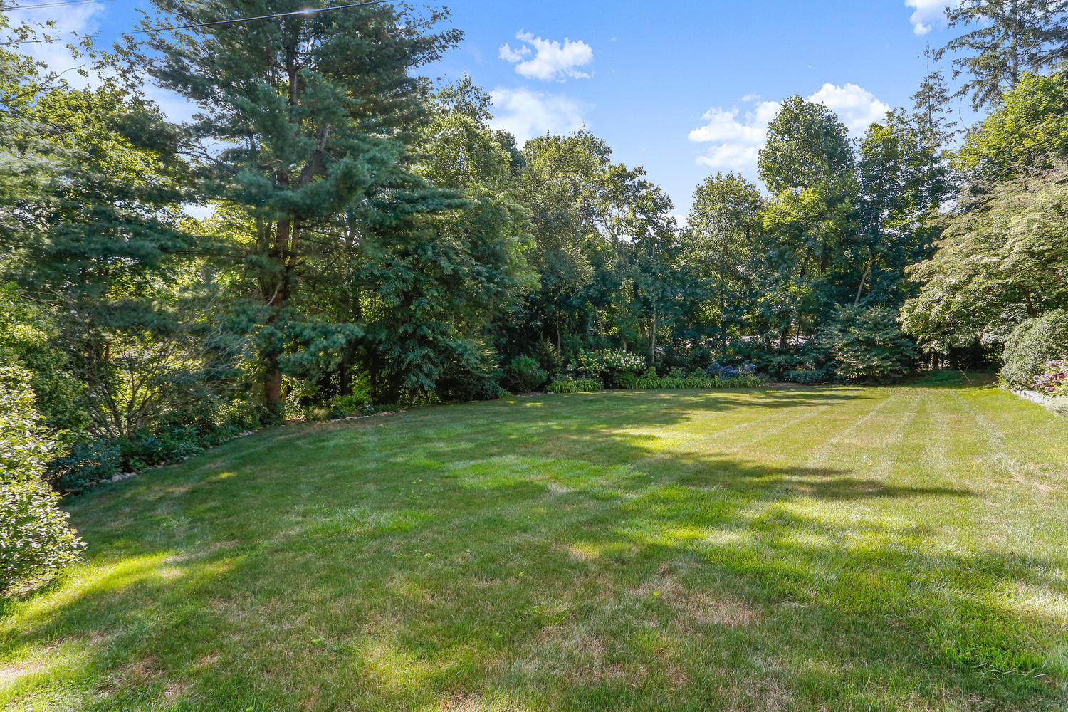116 Marshall Ridge Road New Canaan, CT 06840 - Photo 10 of 50 a view of yard with green space