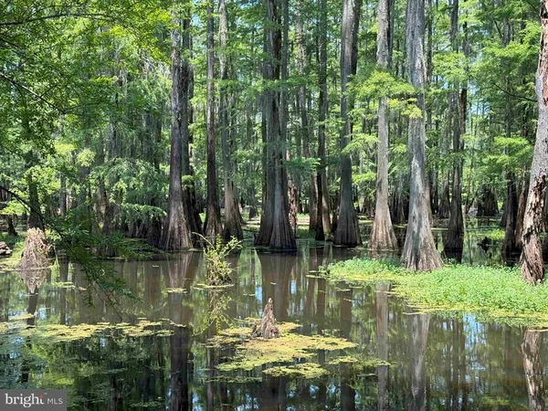 $7,755,000 | Tick Bite Road, Grifton, NC 28530