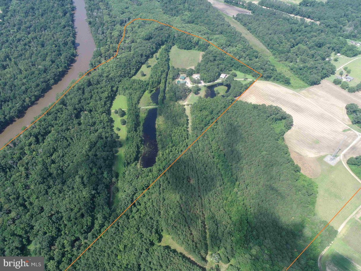 Tick Bite Road Grifton, NC 28530 - Photo 13 of 57 a view of a yard