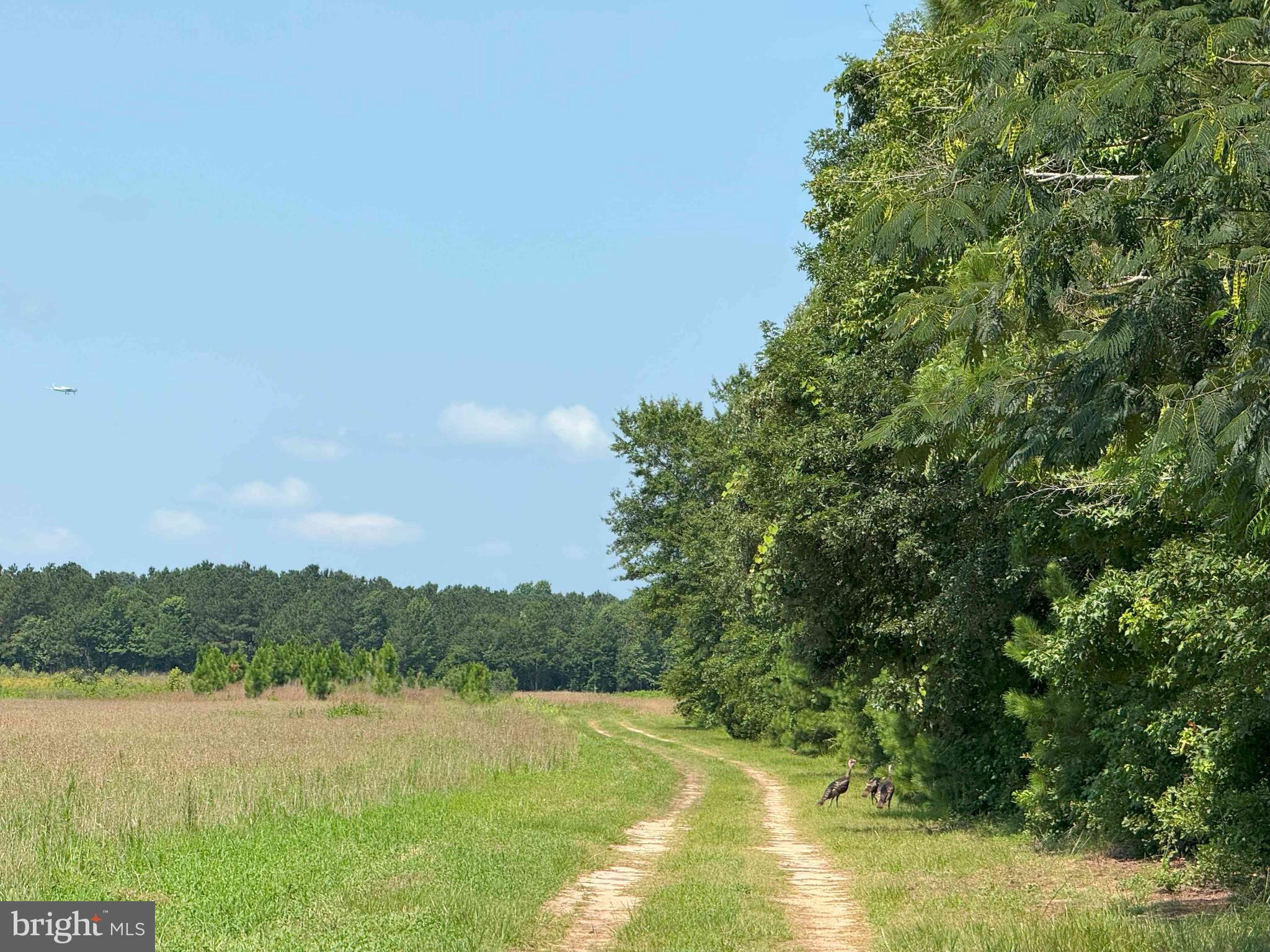 Tick Bite Road Grifton, NC 28530 - Photo 15 of 57 a view of lake and mountain view