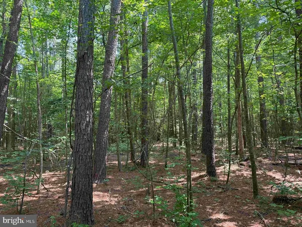 a view of yard with green space