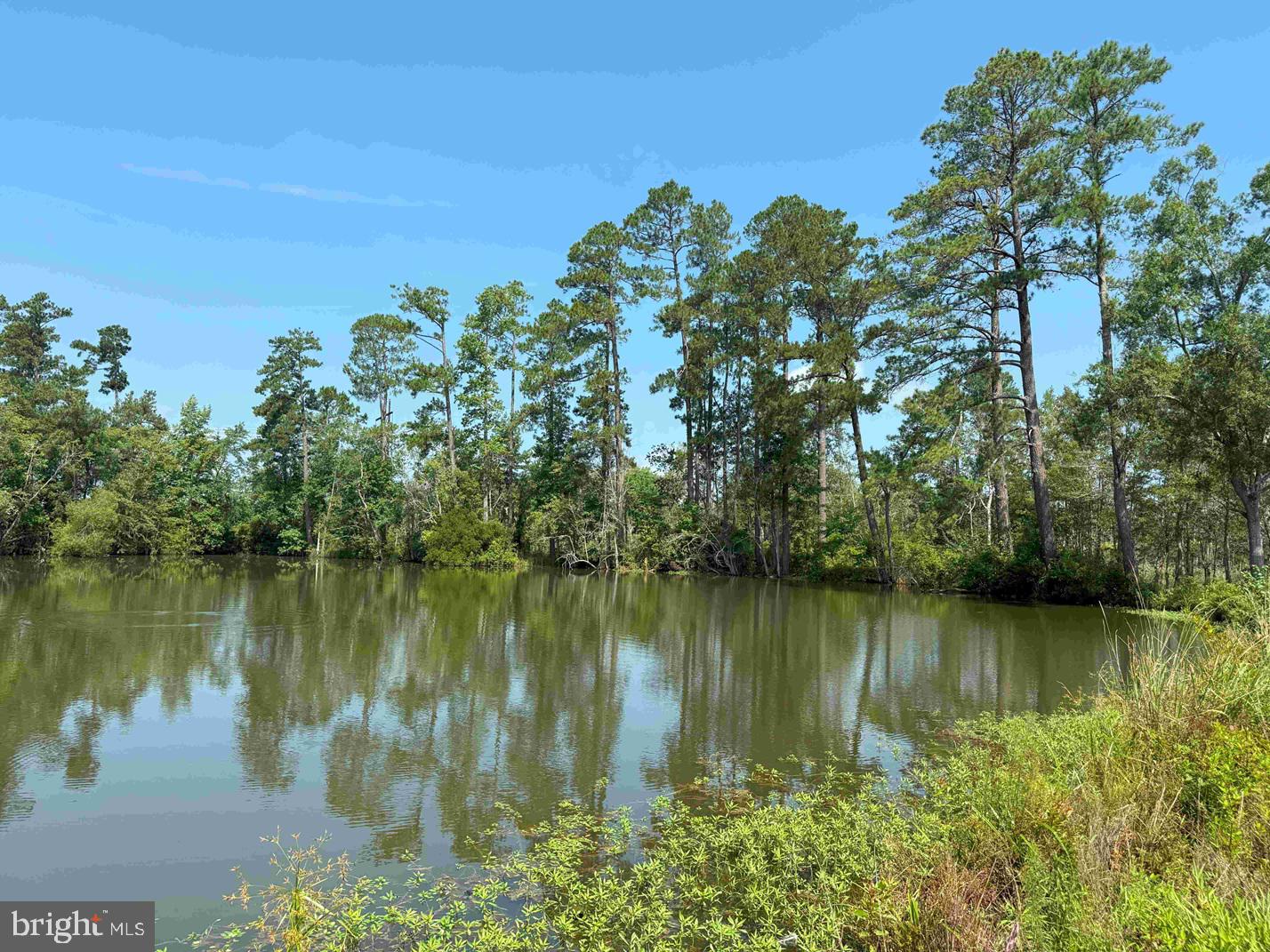 Tick Bite Road Grifton, NC 28530 - Photo 19 of 57 a view of a lake with houses