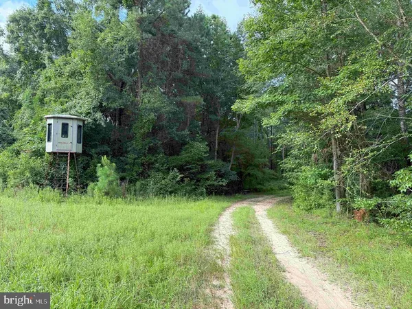 a view of outdoor space with trees all around