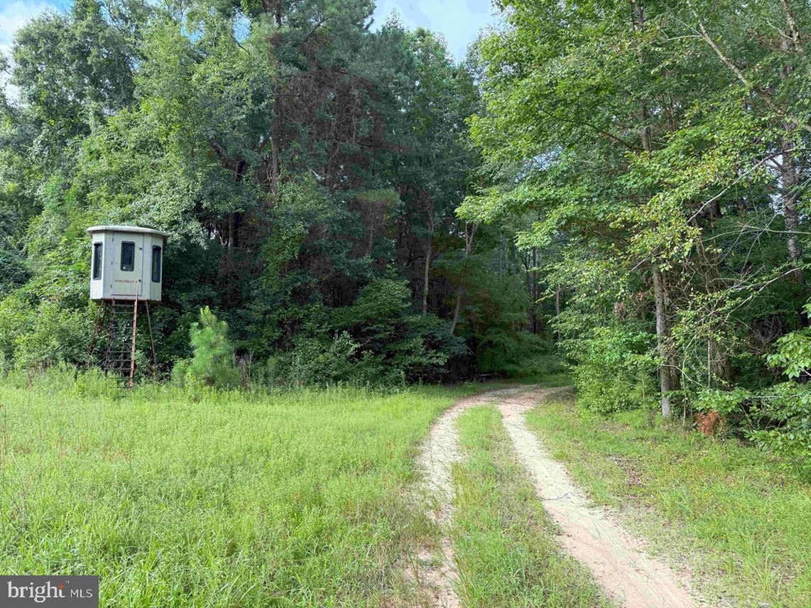 Tick Bite Road Grifton, NC 28530 - Photo 20 of 57