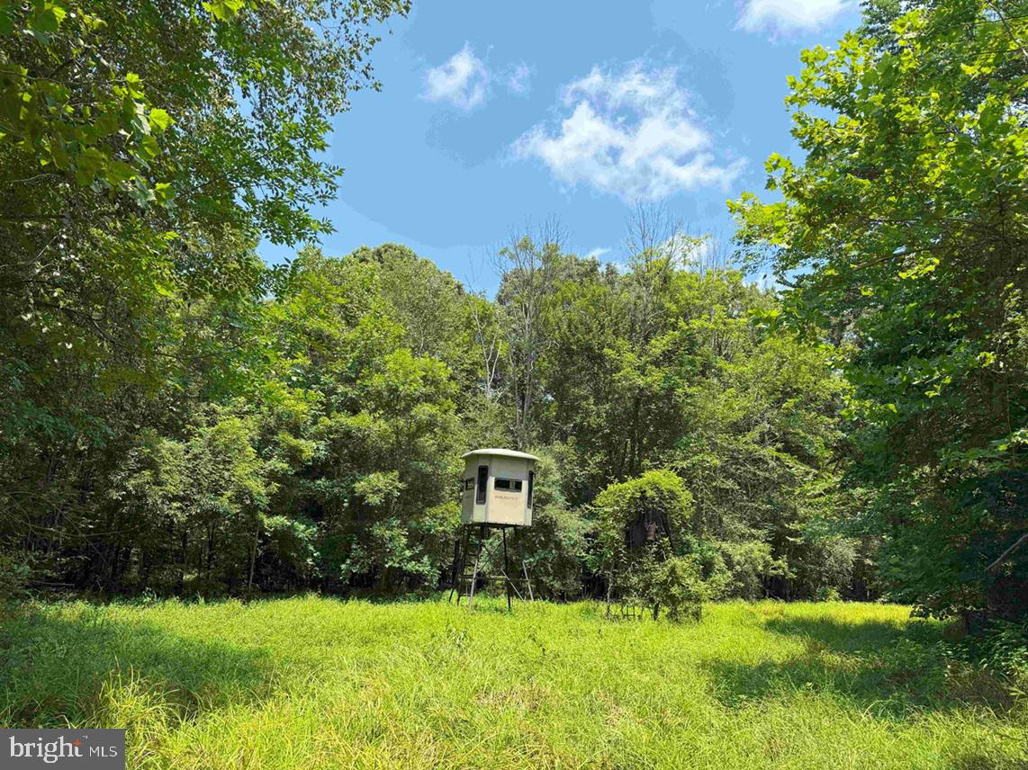 Tick Bite Road Grifton, NC 28530 - Photo 23 of 57 a view of a big yard in a yard