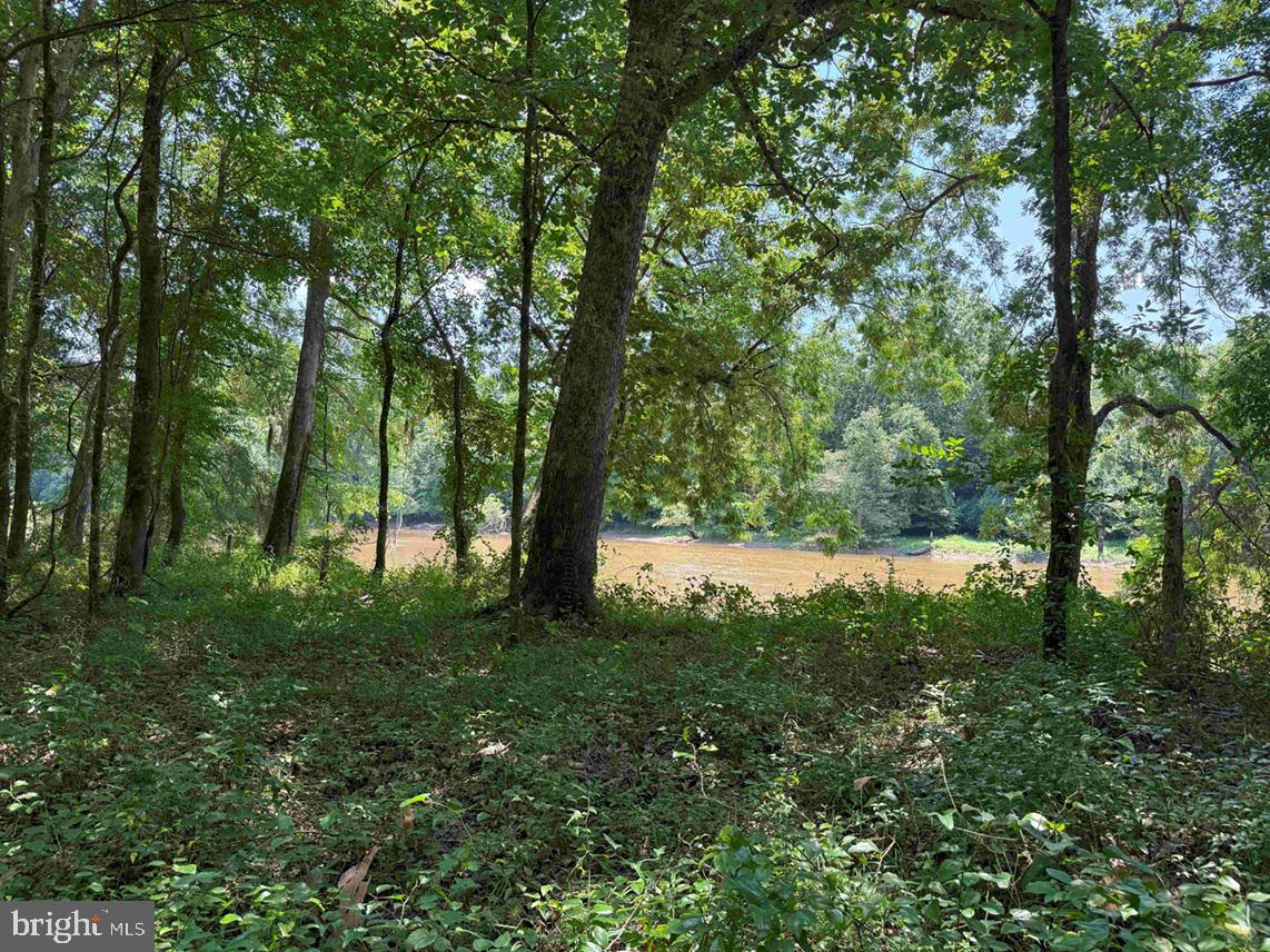 Tick Bite Road Grifton, NC 28530 - Photo 25 of 57