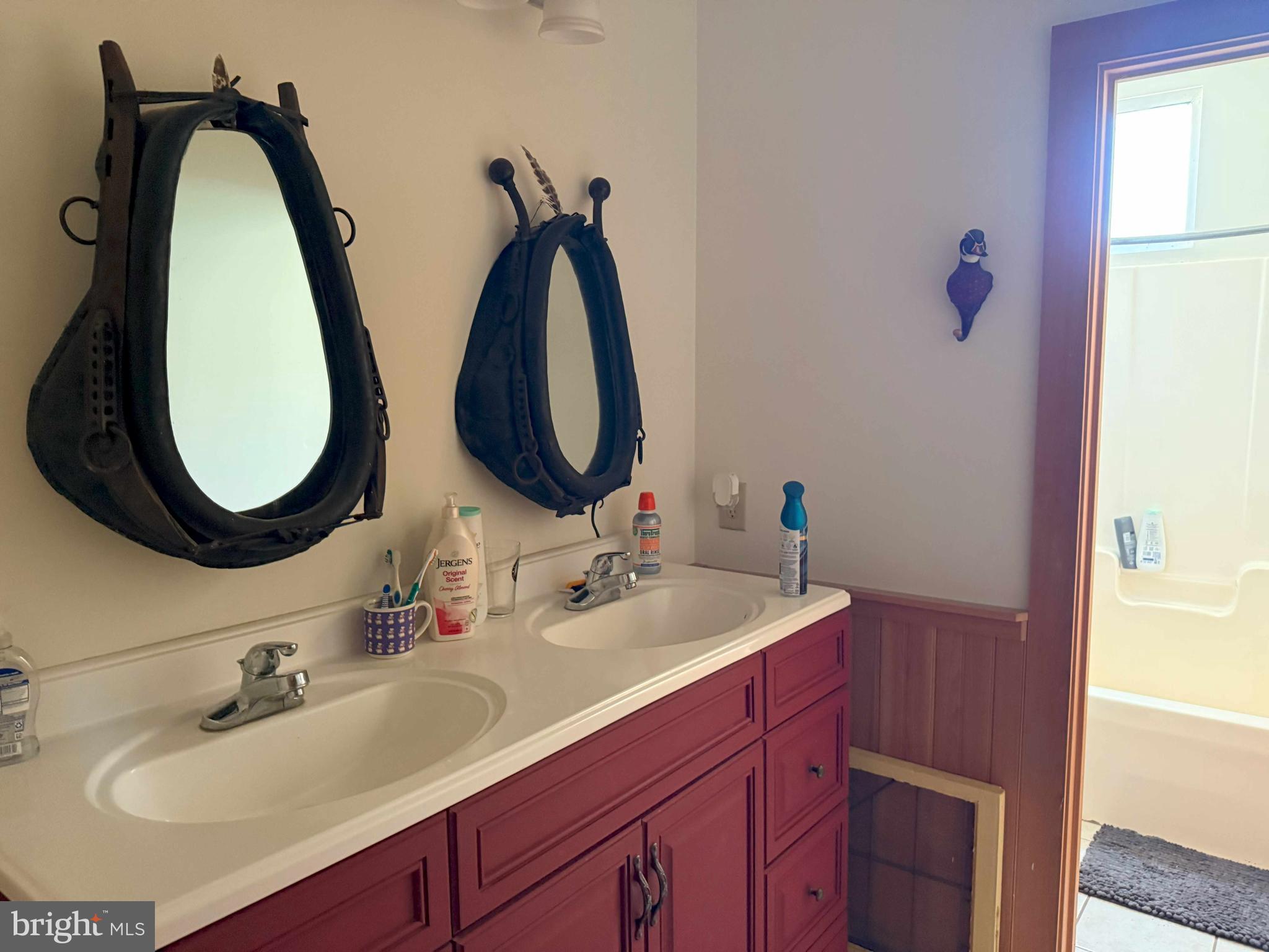 Tick Bite Road Grifton, NC 28530 - Photo 39 of 57 a bathroom with a sink and a mirror