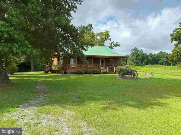 a view of a forest with trees in the background