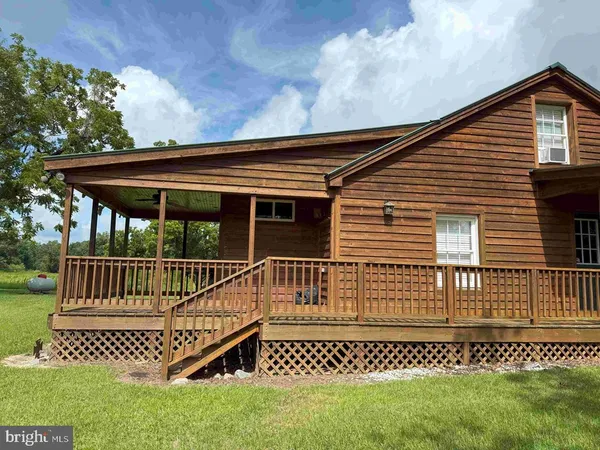 a view of a forest with trees