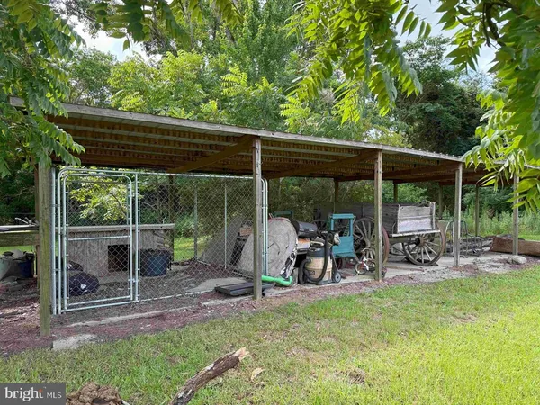 a big yard with lots of green space and plants
