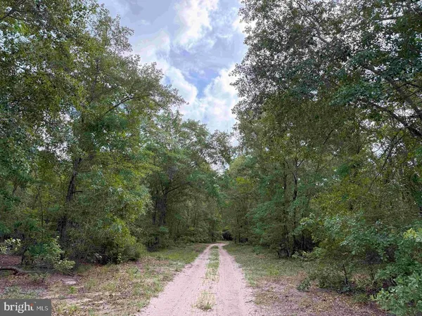 a view of water with yard