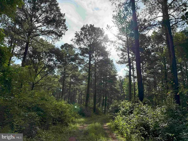 $7,755,000 | Tick Bite Road, Grifton, NC 28530