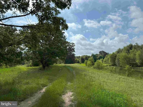 $7,755,000 | Tick Bite Road, Grifton, NC 28530